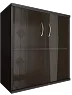 Офисный шкаф низкий широкий со стеклом