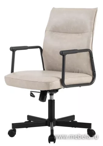 Офисное кресло RV-Стен