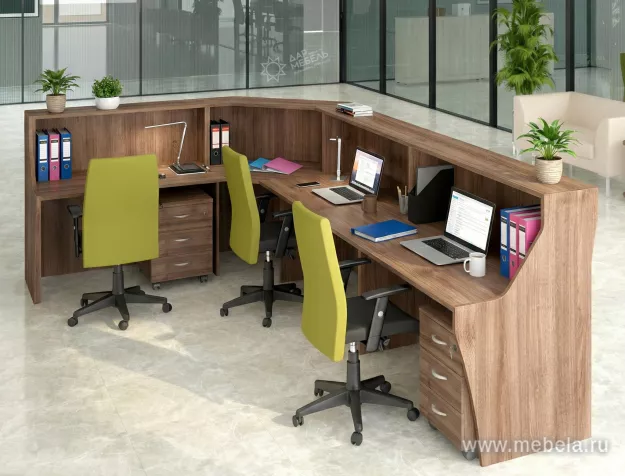 ресепшн Комфорт +