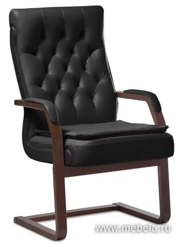 кресло Дарвин C (с подушкой)