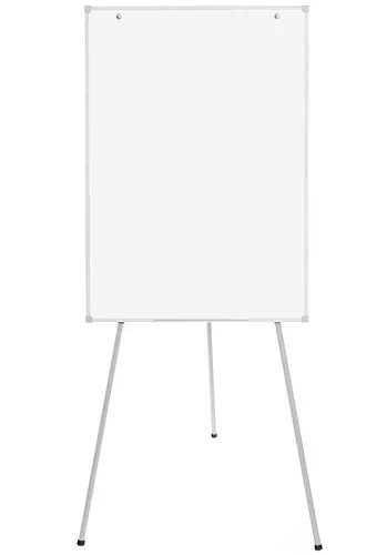 фото Флипчарт ДР-1132954 №2