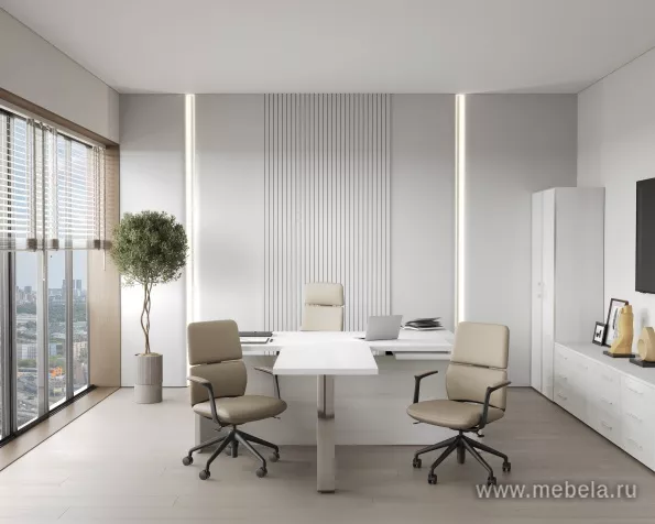 кабинет Ялта Cнежная