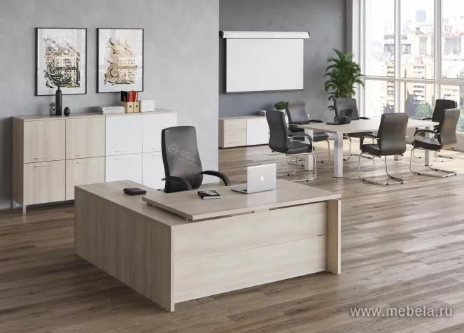 кабинет Ялта Акация