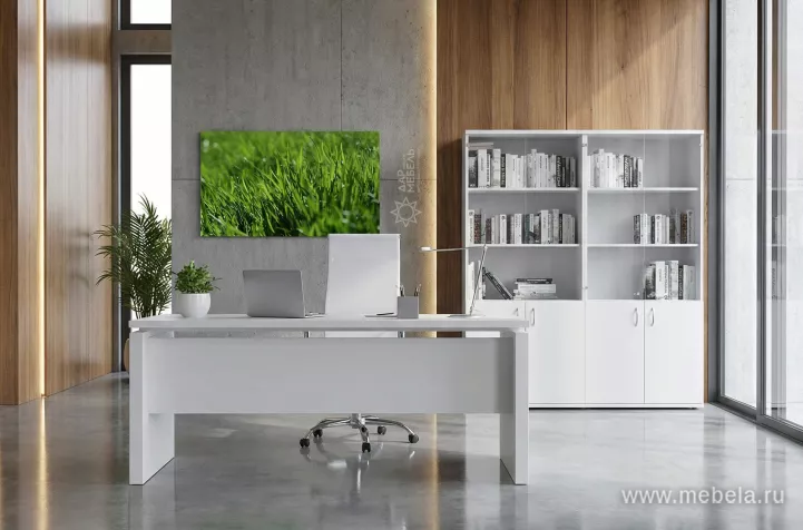 кабинет Стил Эво Белый