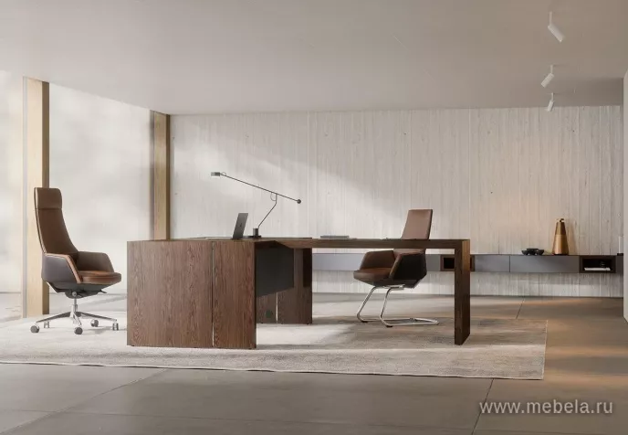 кабинет Арт.Нео II