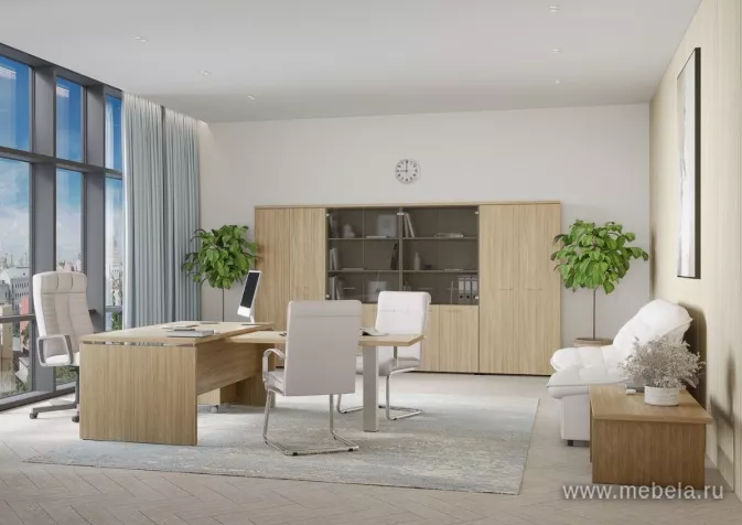 кабинет Патриот +