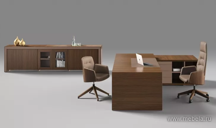 кабинет Белеса