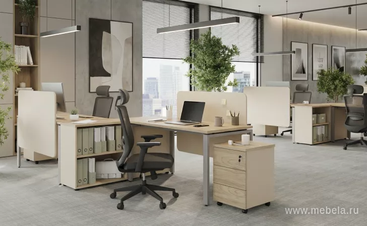 мебель для офиса Рио