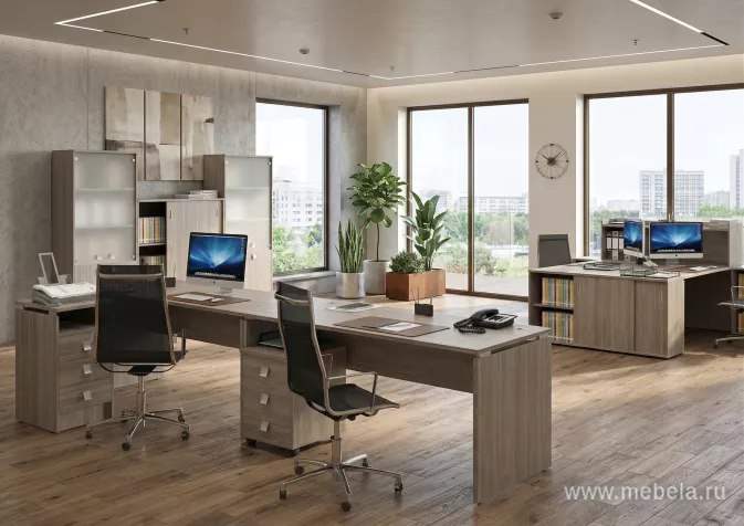 офисная мебель Стайл Вяз
