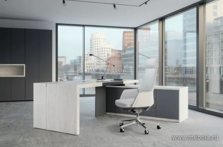 кабинет Арт.Нео II