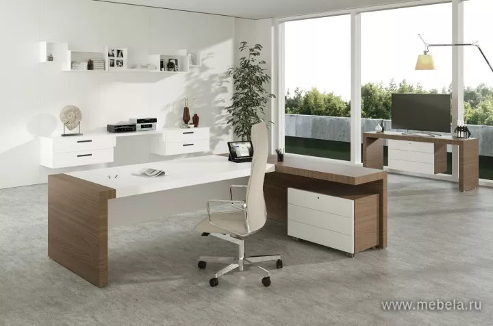 кабинет руководителя Кио