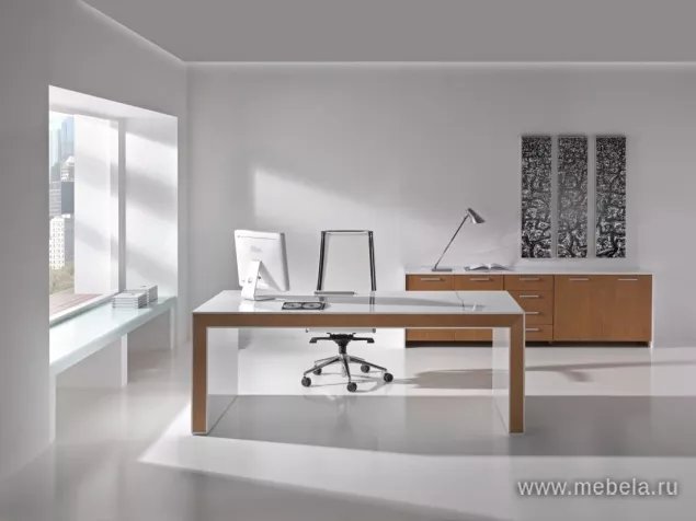 кабинет Белеса