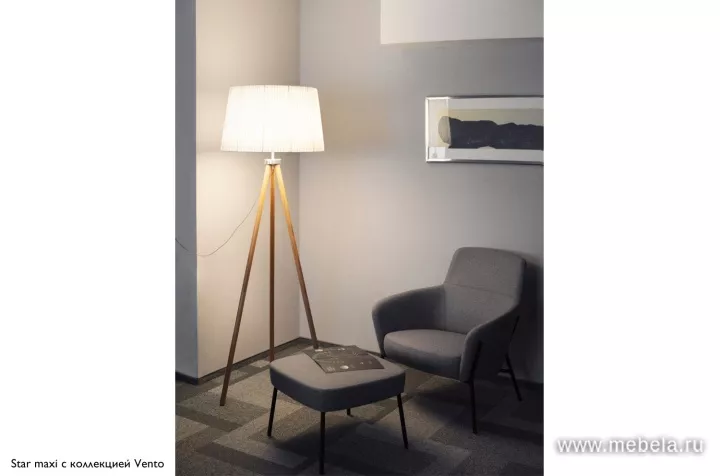Торшер Стар макс