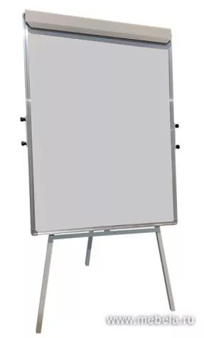 Флипчарт ДР-1843413