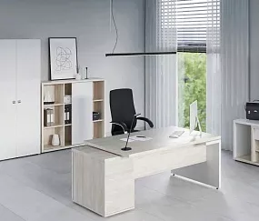 кабинет Зион Шамони