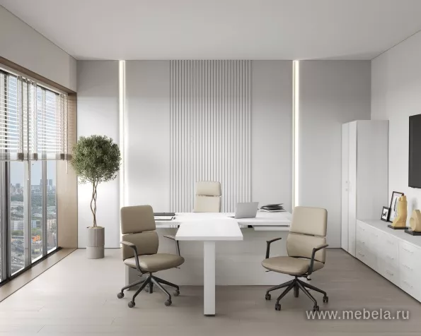 кабинет Ялта Cнежная