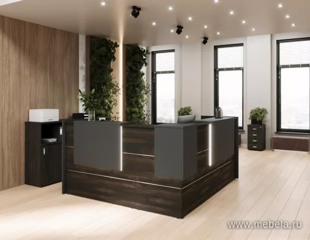 ресепшн Оникс Мали