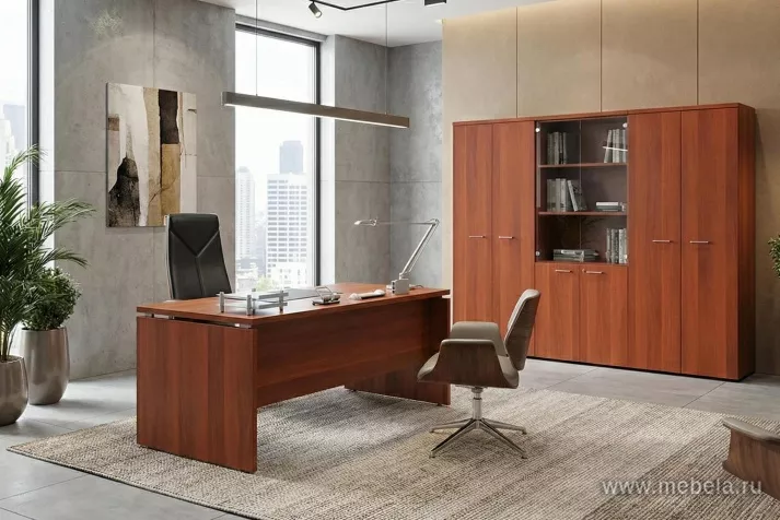 кабинет Патриот