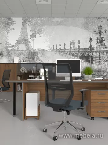 офисная мебель Дин-Р