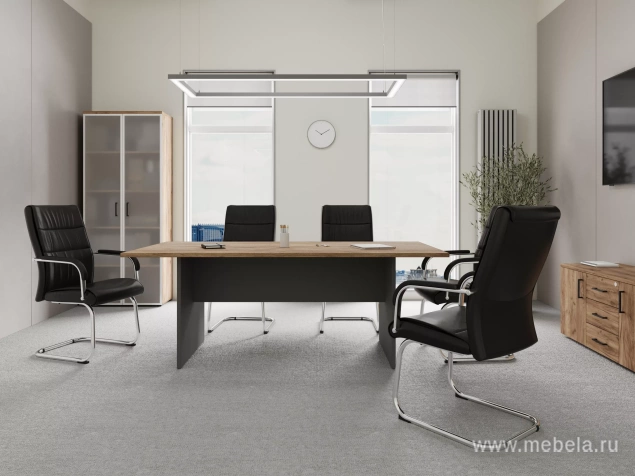 кабинет Проджект Дуб Т